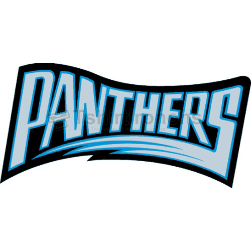 Carolina Panthers T-shirts Iron On Transfers N441 - Click Image to Close